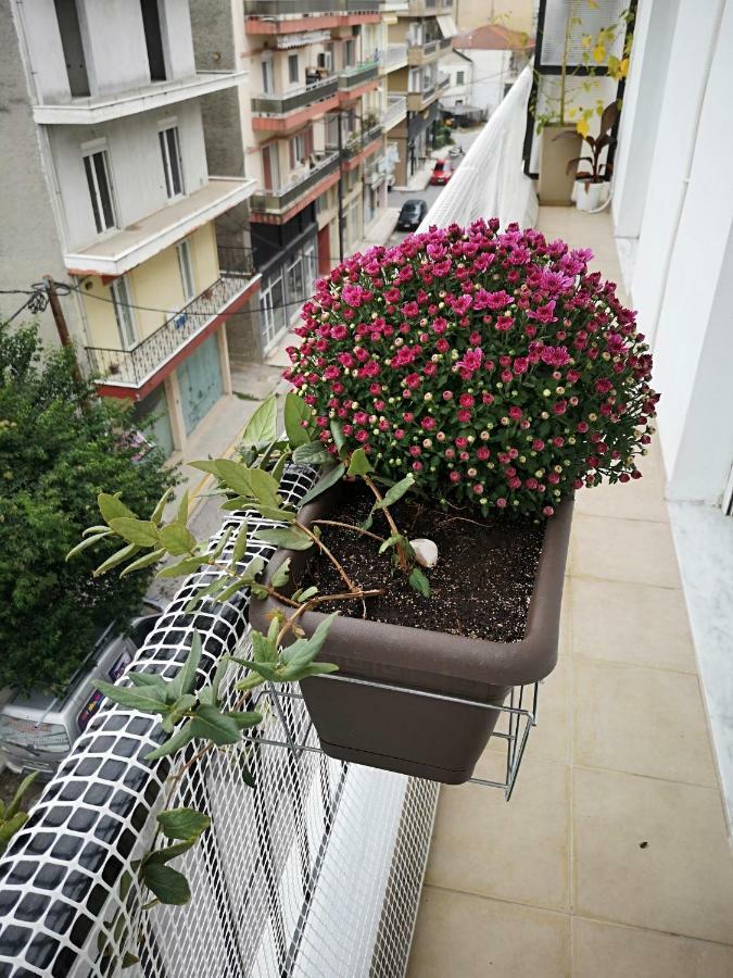 Alexandros Aridaia Exterior foto